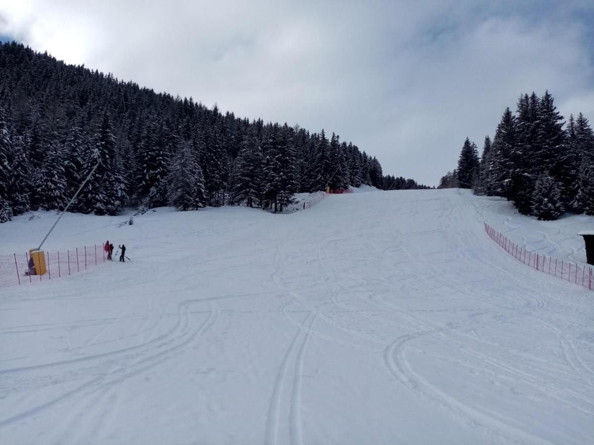 Comodo Alloggio Con Accesso Diretto Alle Piste Santa Caterina Valfurva Buitenkant foto