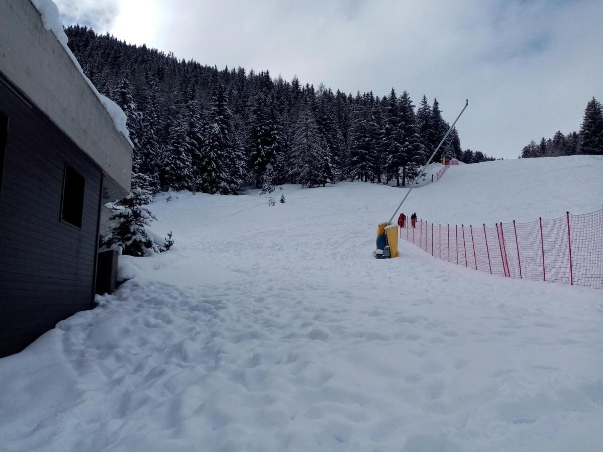 Comodo Alloggio Con Accesso Diretto Alle Piste Santa Caterina Valfurva Buitenkant foto